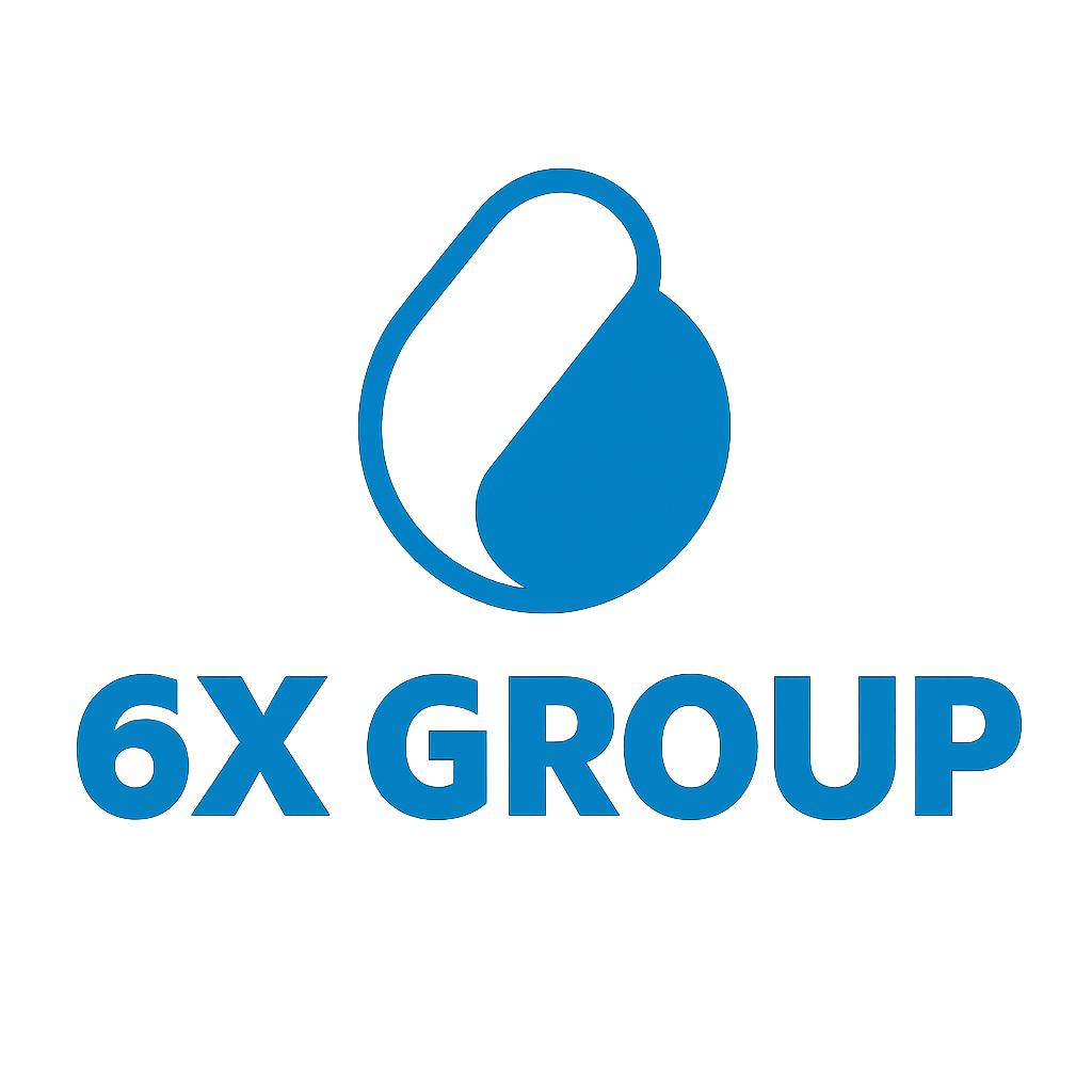6X GROUP